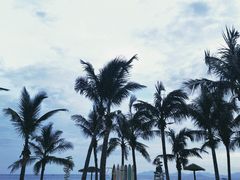 -玫瑰海岸文化旅游度假区