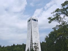 -东平国家森林公园
