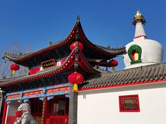 -西塔大冷面(市府大路店)