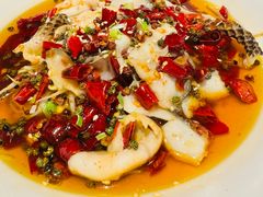 -煲来饱去冷水鱼