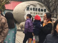 -陕西自然博物馆