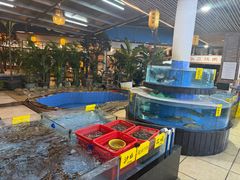 -台山第一家兴华黄鳝饭·黄鳝婆(合水分店)