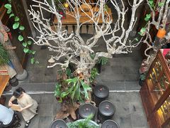 -普洱茶府(博乐广场店)