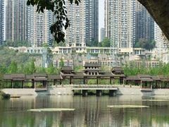 -重庆彩云湖湿地公园