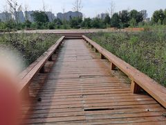 -汉长安城未央宫国家考古遗址公园