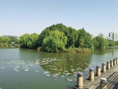 -新江湾城公园
