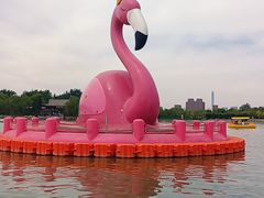 -天津水上公园