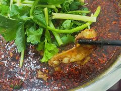 -温江公平红烧兔(总店)