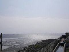 android_upload_pic-上海棕榈滩海景酒店