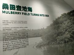 -东寨港红树林旅游区