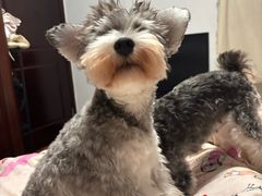 -乖乖宠物医院·猫科·骨科·24小时(云岗分院)