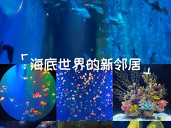 -成都浩海立方海洋公园