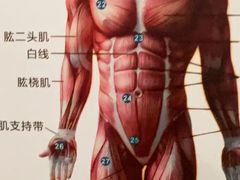 -通透堂中医·精准推拿(旗舰店)