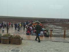 -红海滩国家风景廊道
