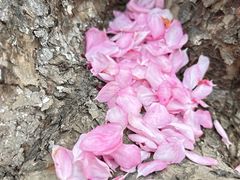 -蓝地时尚庄园(北京清河营地铁站店)