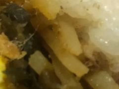 土豆丝-糯米包油条(武汉大学店)