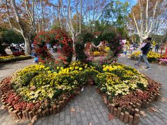 -共青国家森林公园-南大门停车场