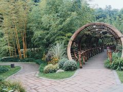 -望江楼公园