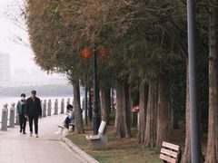 -燕鸣岛
