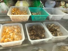 -山大王菌莊
