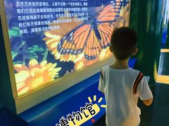-上海昆虫博物馆