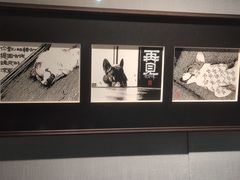 -浙江西湖美术馆