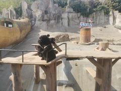 -东方熊牧场