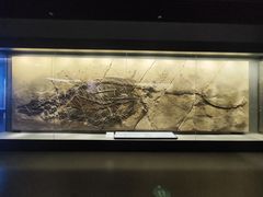 -贵州省地质博物馆