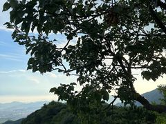 -香山公园