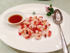 -新富汇西郊公馆(怡甸别墅店)