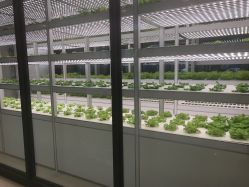 -安利上海体验馆