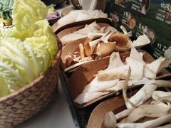 -芸山季·云南山珍菌火锅(南翔印象城MEGA店)