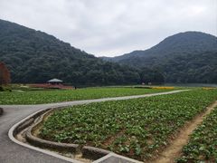 -广州市石门国家森林公园
