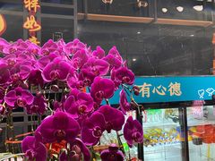 -有心德(隆生店)