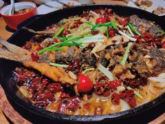 -老板恋上鱼(高新万达店)