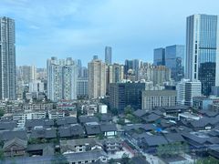 -成都尼依格罗酒店