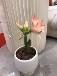 -倩极·精研痘敏肌管理