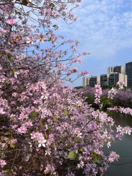 -梓爱月子中心(花都店)