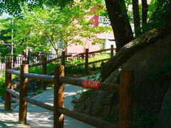-白水寺森林公园