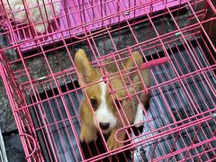 -CBD·中央大街(夷陵大道店)