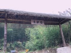 -宁波浙东大竹海景区