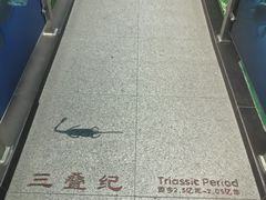 -中国第四纪冰川遗迹陈列馆
