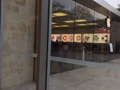 -Apple零售店(深圳益田假日广场店)