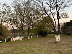 -九里河湿地公园