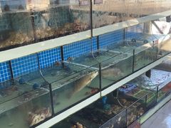 -阿伍海鲜大排档(塔湾金沙店)