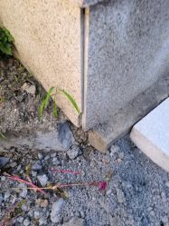 -青禾婚纱摄影(杭州店)