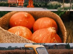 -中国天府农业博览园