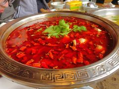 特色红锅-贡椒鱼老店·雅安十大名店