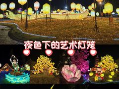-洋湖国家湿地公园