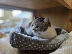 -小时光咖啡馆(开森度假森林店)